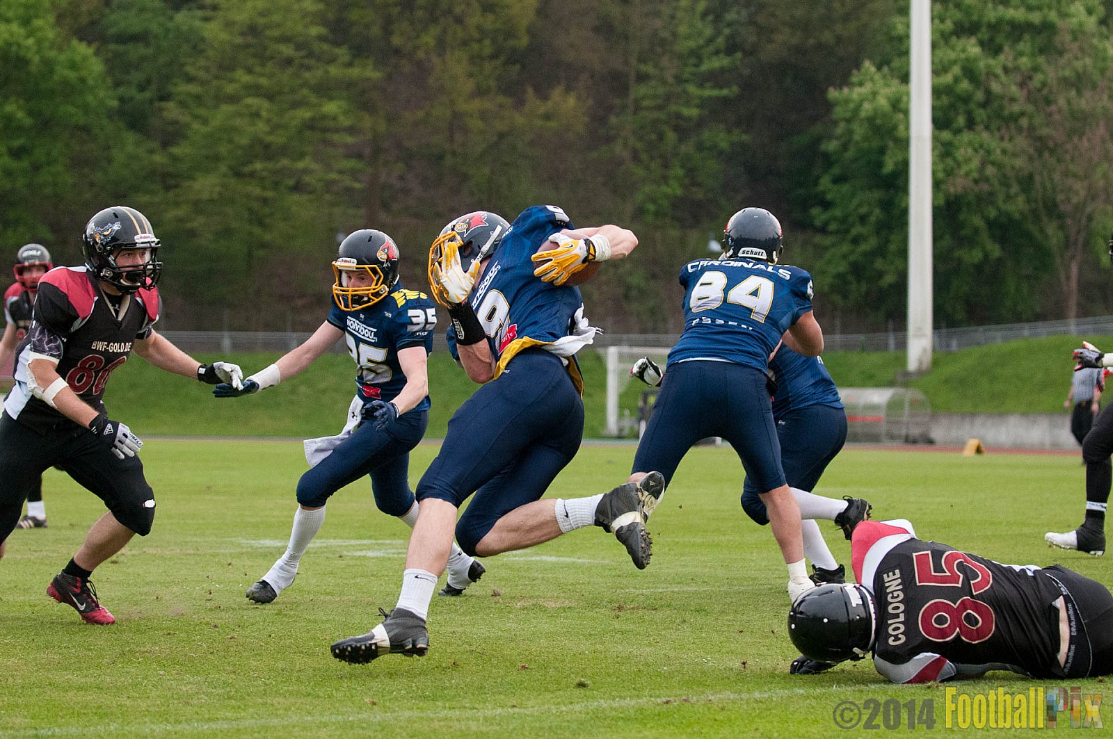 Essen Assindia Cardinals vs. Köln Falcons - 12.04.2014 Essen Assindia Cardinals vs. Köln Falcons (9:61)