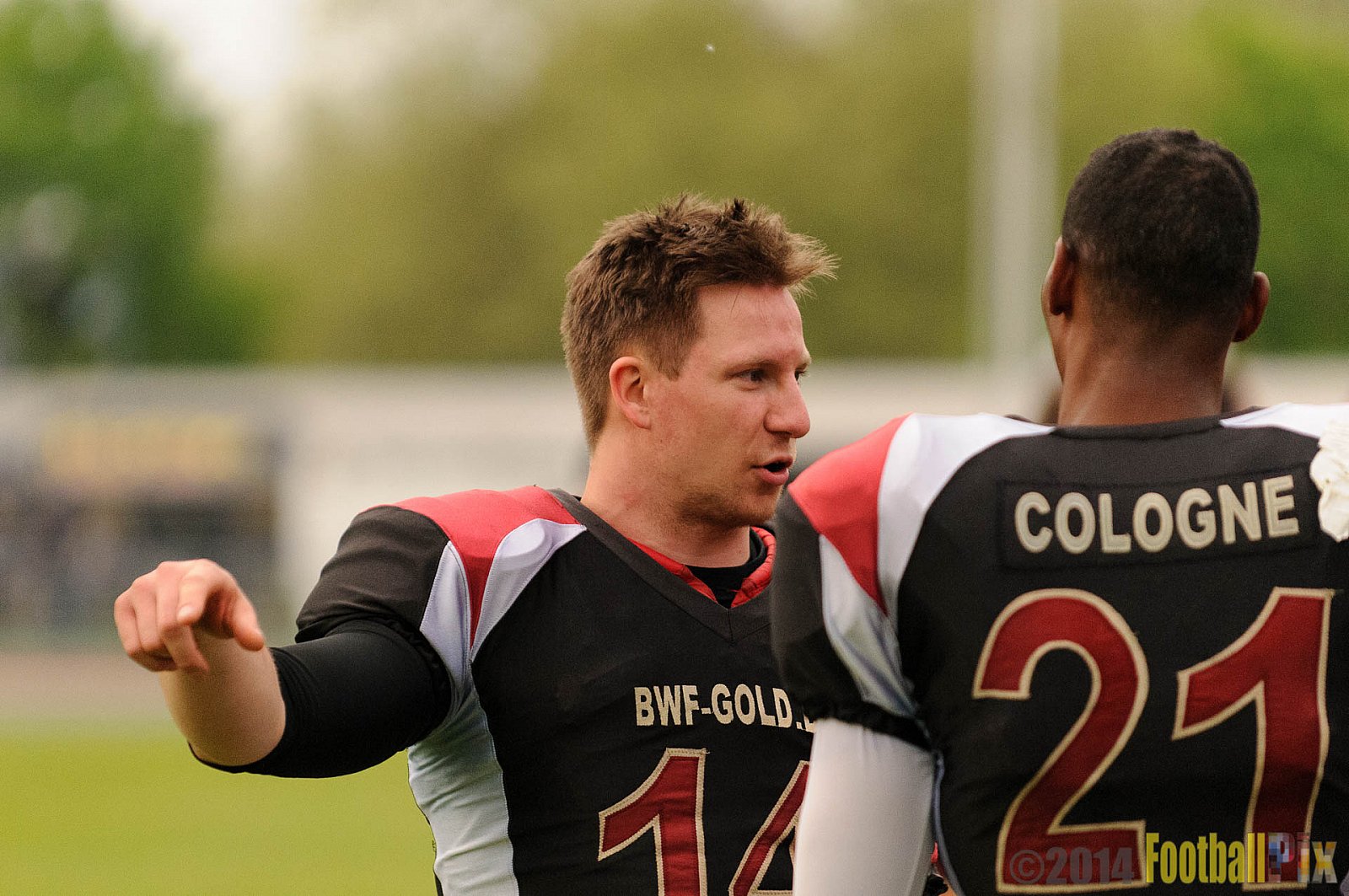 Essen Assindia Cardinals vs. Köln Falcons - 12.04.2014 Essen Assindia Cardinals vs. Köln Falcons (9:61)