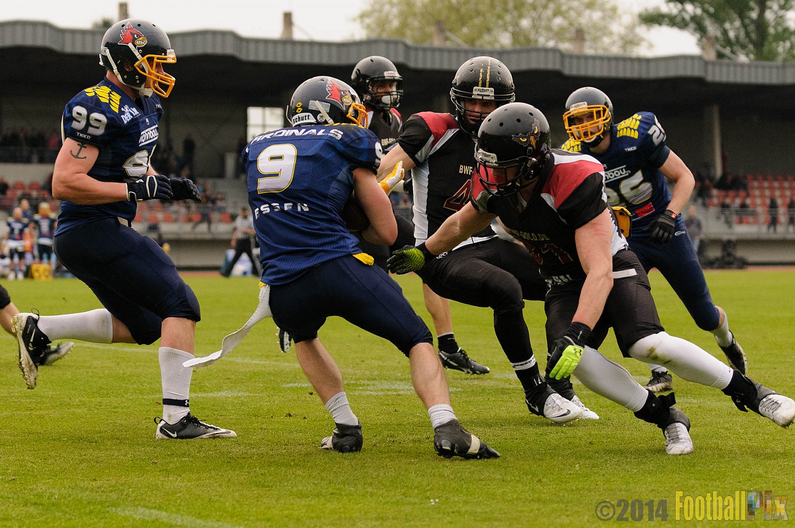 Essen Assindia Cardinals vs. Köln Falcons - 12.04.2014 Essen Assindia Cardinals vs. Köln Falcons (9:61)