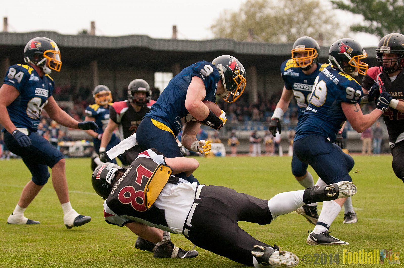Essen Assindia Cardinals vs. Köln Falcons - 12.04.2014 Essen Assindia Cardinals vs. Köln Falcons (9:61)