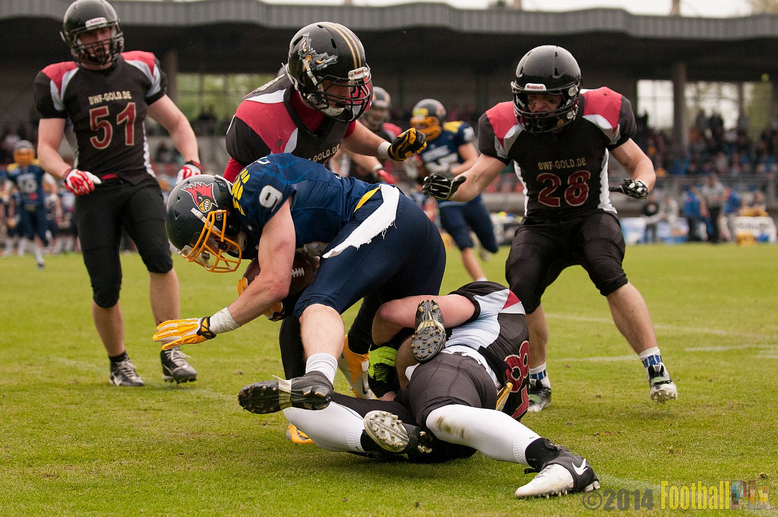 Essen Assindia Cardinals vs. Köln Falcons - 12.04.2014 Essen Assindia Cardinals vs. Köln Falcons (9:61)