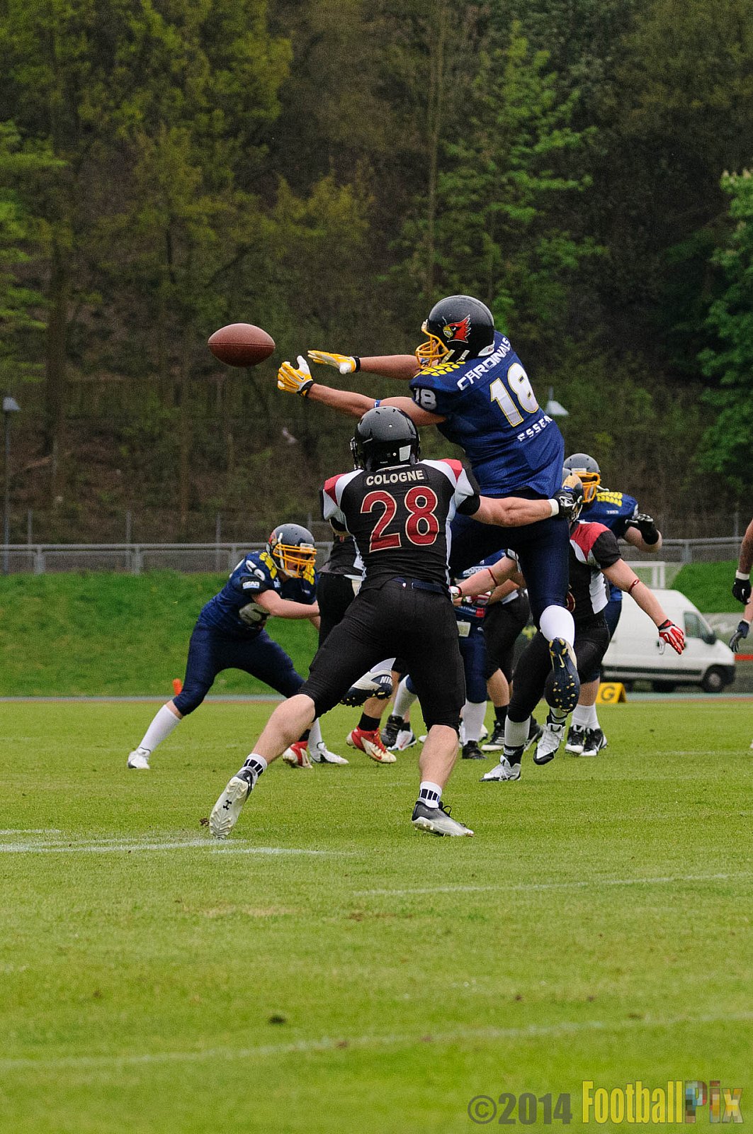 Essen Assindia Cardinals vs. Köln Falcons - 12.04.2014 Essen Assindia Cardinals vs. Köln Falcons (9:61)