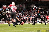 D&uuml;sseldorf Panther vs. K&ouml;ln Falcons - 26.04.2014 GFL Nord: D&uuml;sseldorf Panther vs. K&ouml;ln Falcons (25:27)