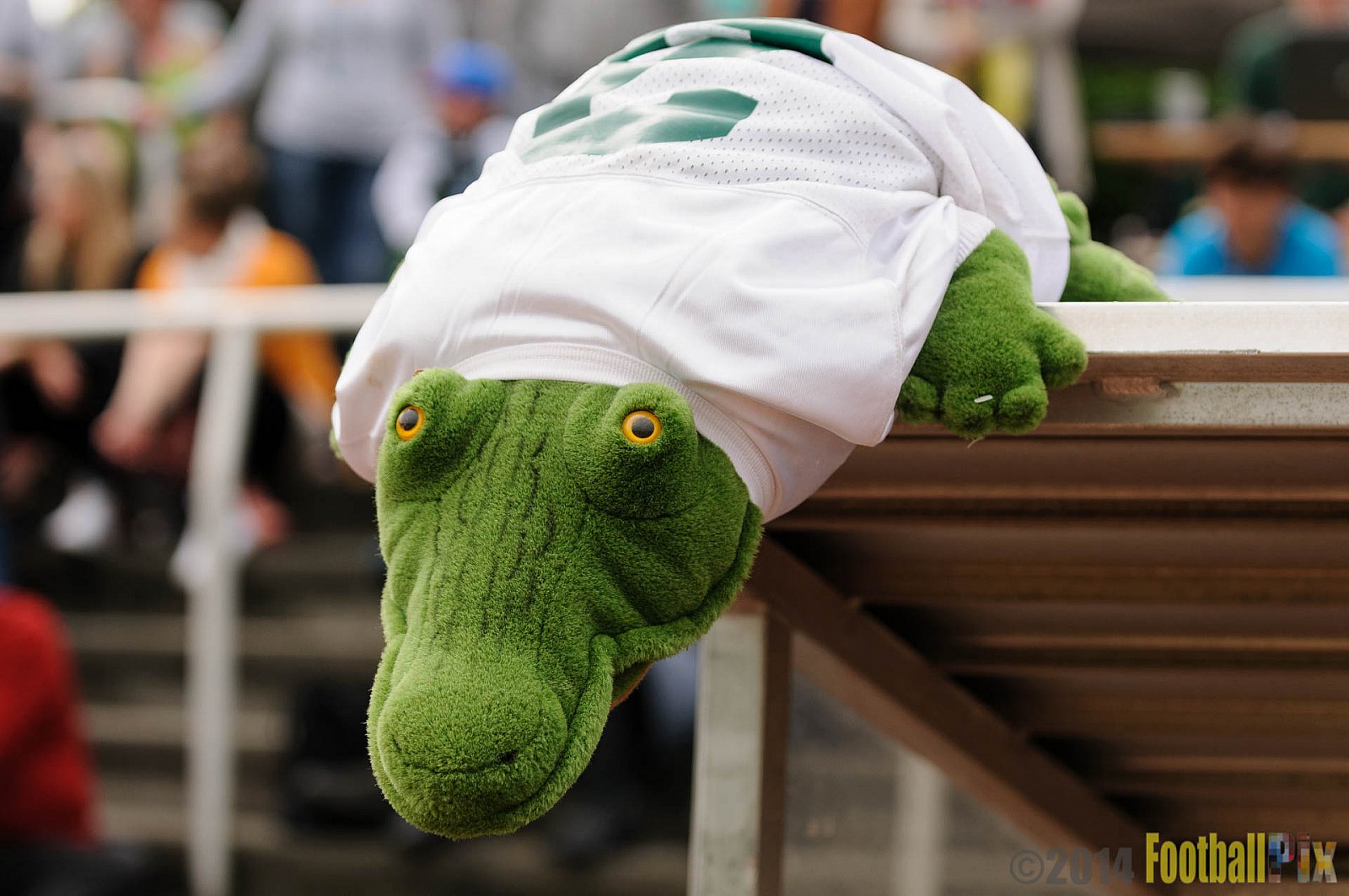 Cologne Crocodiles vs. Bielefeld Bulldogs - 26.04.2014 GFL2 Nord: Cologne Crocodiles vs. Bielefeld Bulldogs (27:49)