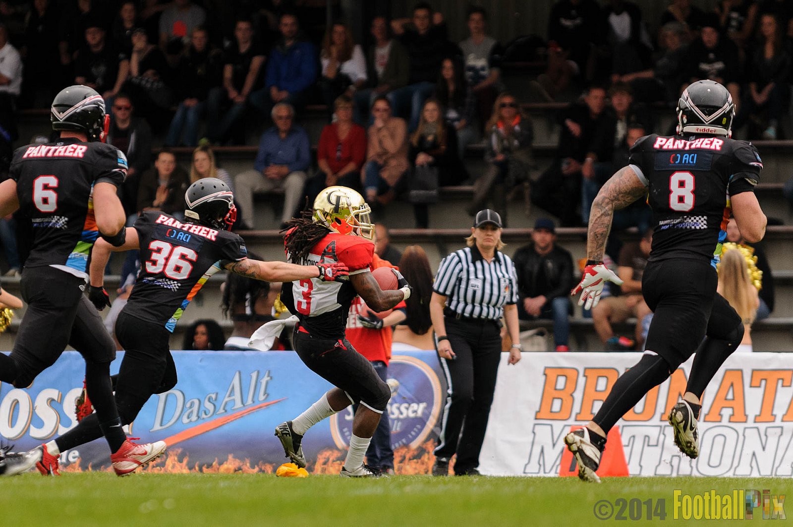 Düsseldorf Panther vs. Köln Falcons - 26.04.2014 GFL Nord: Düsseldorf Panther vs. Köln Falcons (25:27)