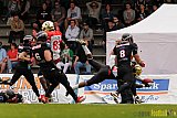 D&uuml;sseldorf Panther vs. K&ouml;ln Falcons - 26.04.2014 GFL Nord: D&uuml;sseldorf Panther vs. K&ouml;ln Falcons (25:27)