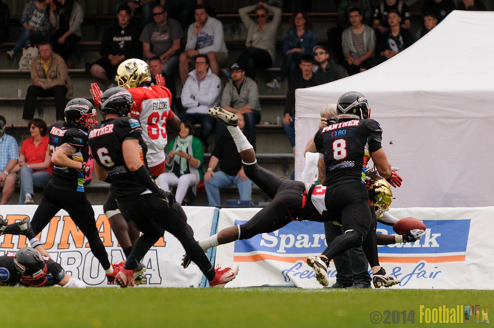 Düsseldorf Panther vs. Köln Falcons - 26.04.2014 GFL Nord: Düsseldorf Panther vs. Köln Falcons (25:27)