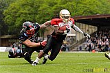 D&uuml;sseldorf Panther vs. K&ouml;ln Falcons - 26.04.2014 GFL Nord: D&uuml;sseldorf Panther vs. K&ouml;ln Falcons (25:27)