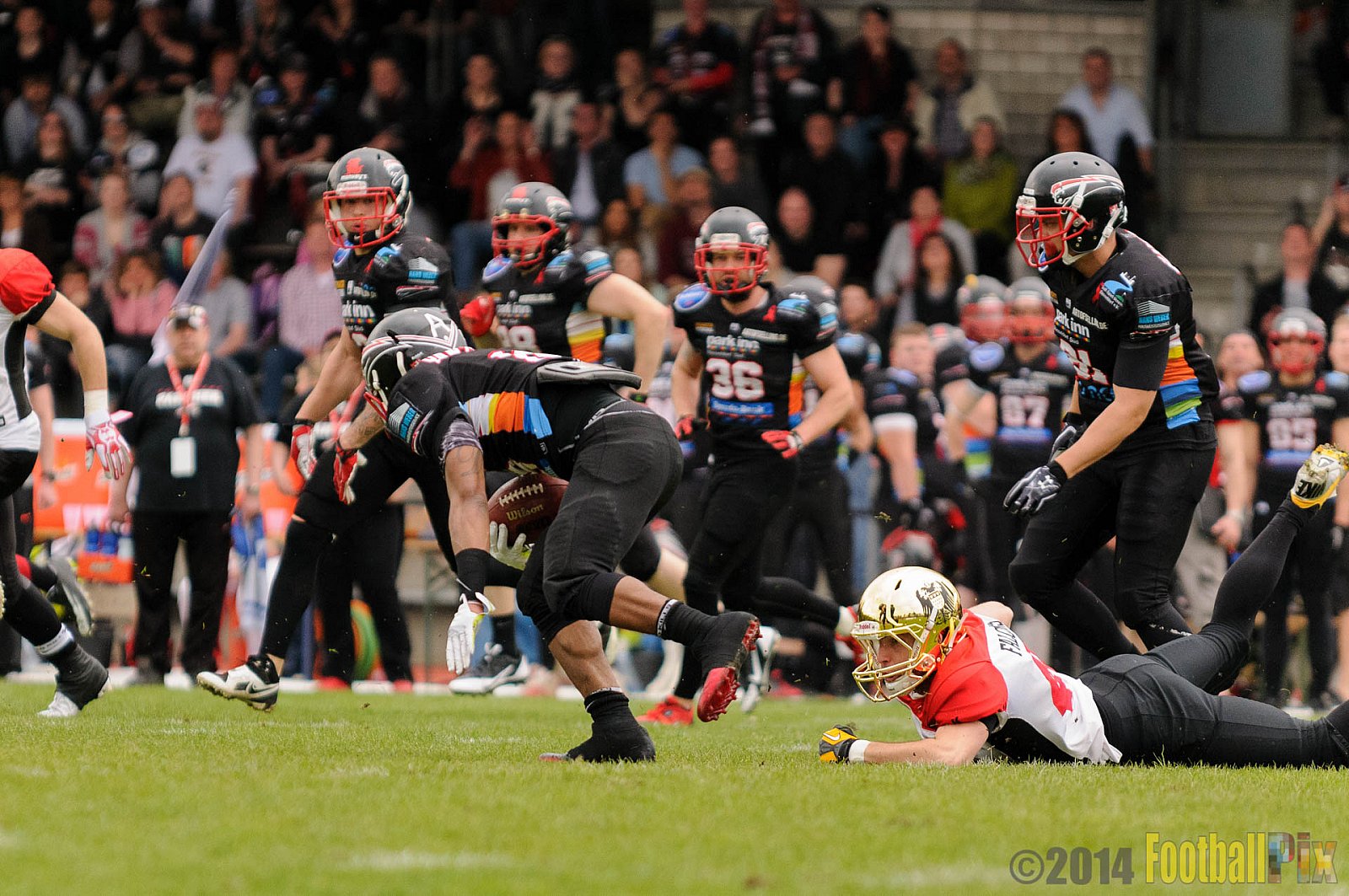 Düsseldorf Panther vs. Köln Falcons - 26.04.2014 GFL Nord: Düsseldorf Panther vs. Köln Falcons (25:27)