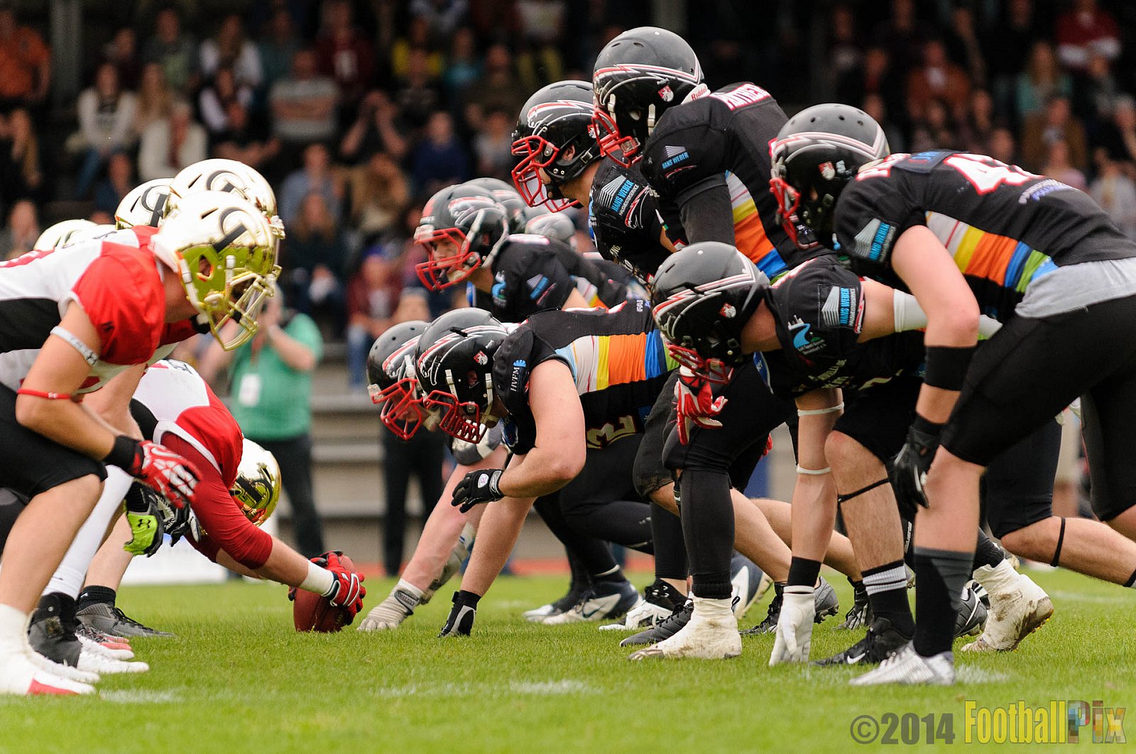 Düsseldorf Panther vs. Köln Falcons - 26.04.2014 GFL Nord: Düsseldorf Panther vs. Köln Falcons (25:27)