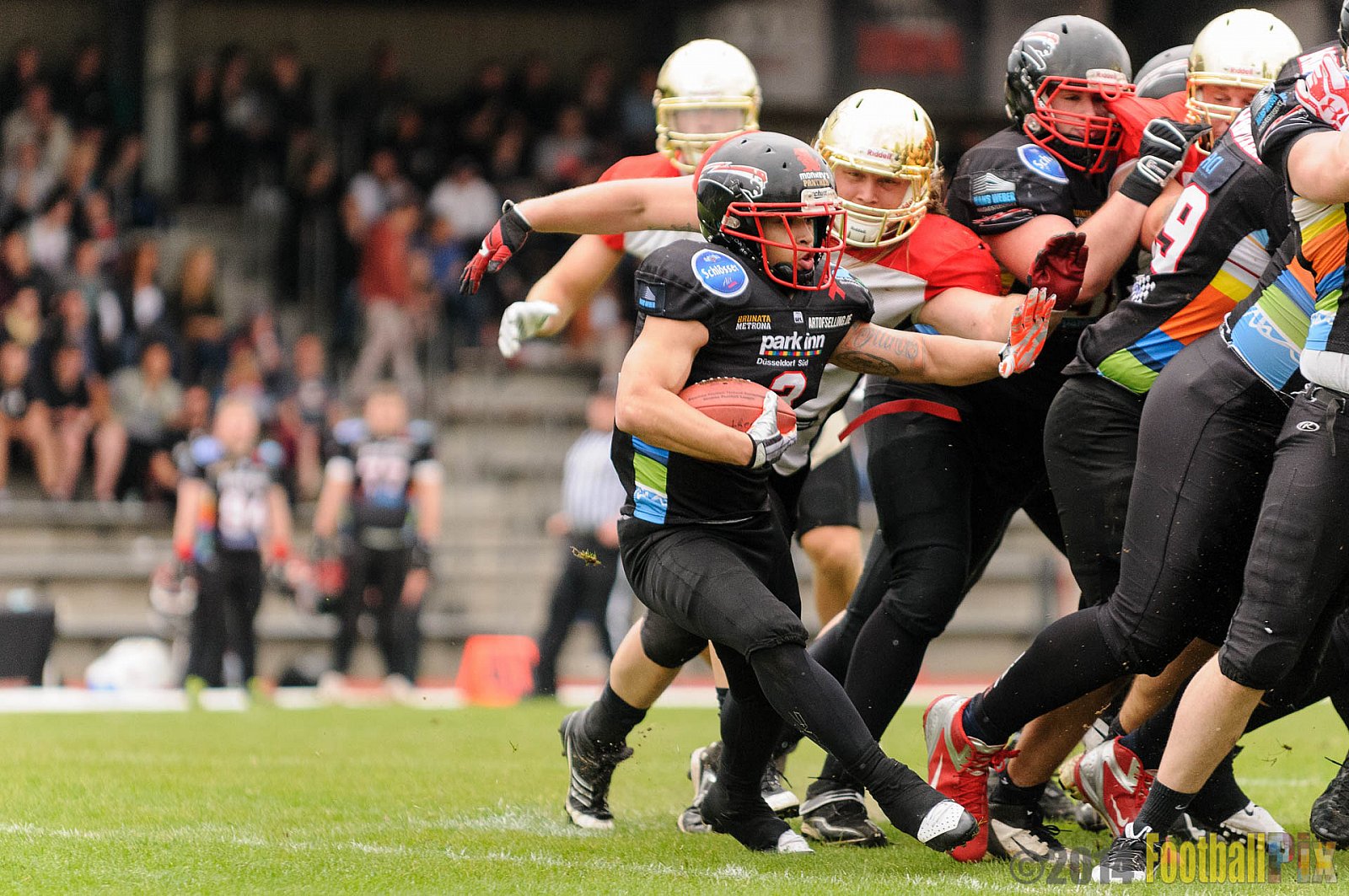 Düsseldorf Panther vs. Köln Falcons - 26.04.2014 GFL Nord: Düsseldorf Panther vs. Köln Falcons (25:27)