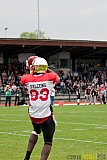 D&uuml;sseldorf Panther vs. K&ouml;ln Falcons - 26.04.2014 GFL Nord: D&uuml;sseldorf Panther vs. K&ouml;ln Falcons (25:27)