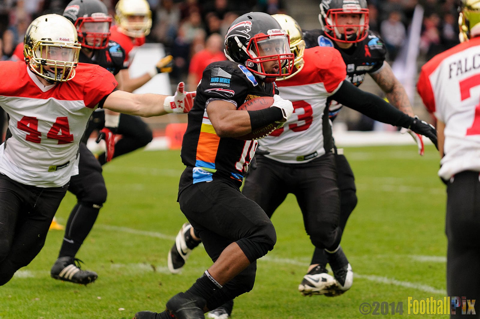 Düsseldorf Panther vs. Köln Falcons - 26.04.2014 GFL Nord: Düsseldorf Panther vs. Köln Falcons (25:27)