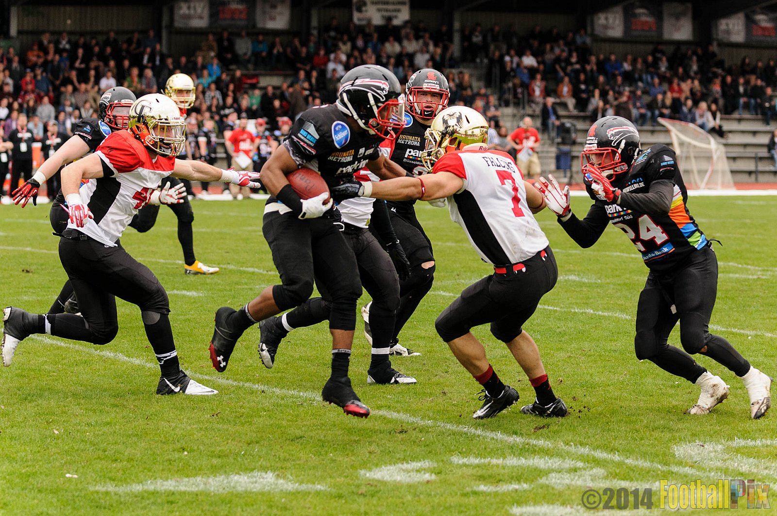 Düsseldorf Panther vs. Köln Falcons - 26.04.2014 GFL Nord: Düsseldorf Panther vs. Köln Falcons (25:27)