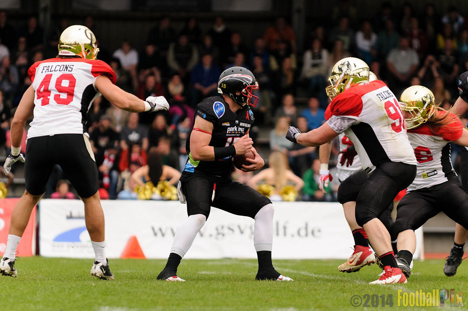 Düsseldorf Panther vs. Köln Falcons - 26.04.2014 GFL Nord: Düsseldorf Panther vs. Köln Falcons (25:27)