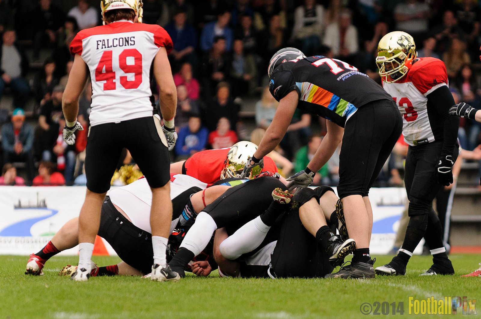 Düsseldorf Panther vs. Köln Falcons - 26.04.2014 GFL Nord: Düsseldorf Panther vs. Köln Falcons (25:27)