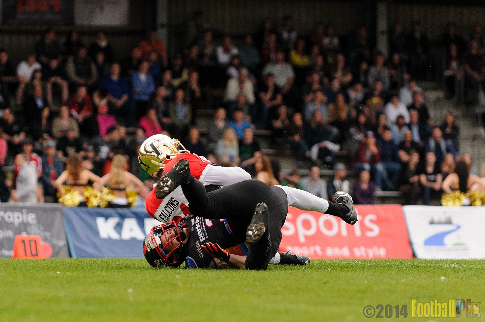 Düsseldorf Panther vs. Köln Falcons - 26.04.2014 GFL Nord: Düsseldorf Panther vs. Köln Falcons (25:27)