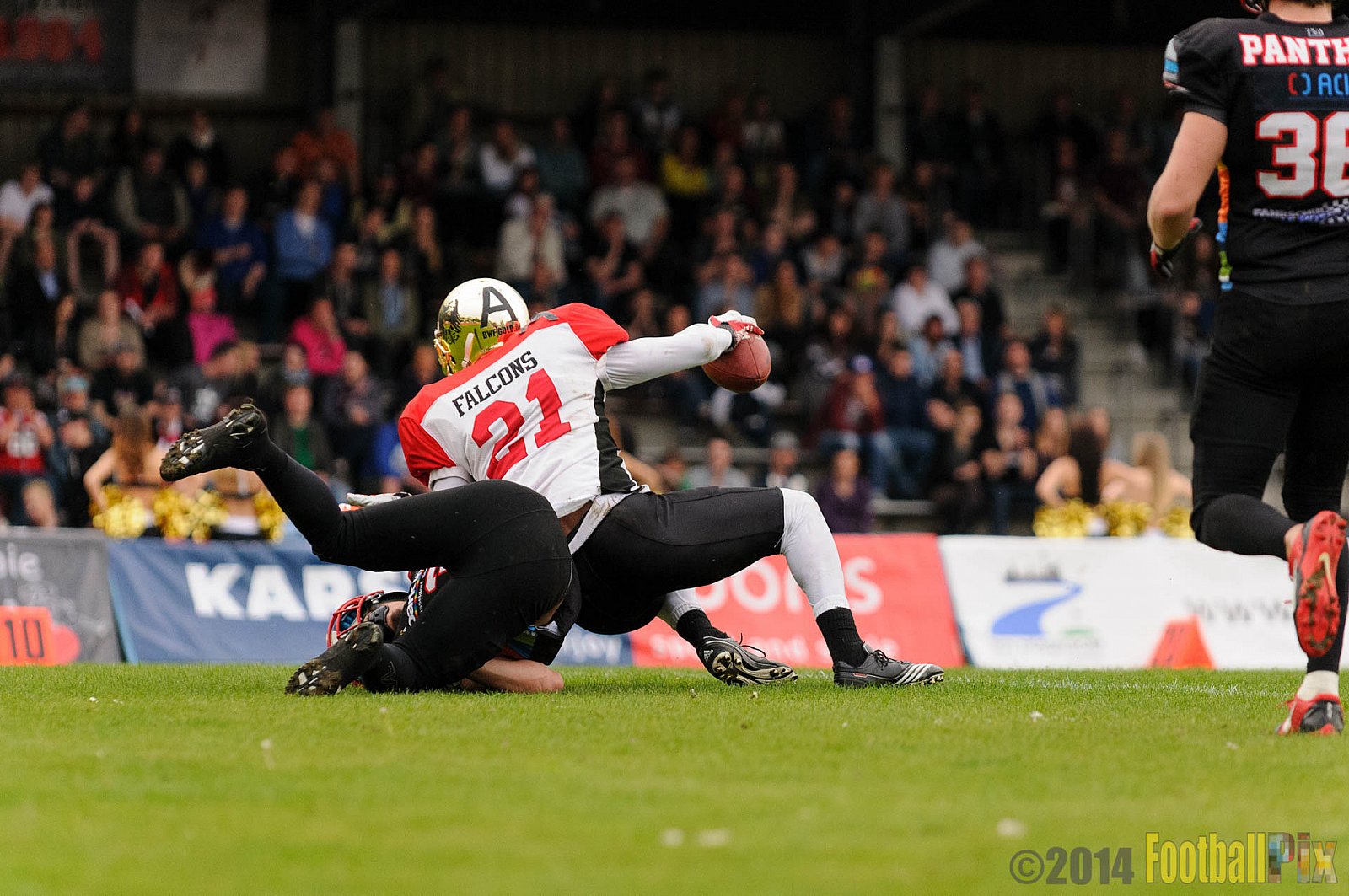 Düsseldorf Panther vs. Köln Falcons - 26.04.2014 GFL Nord: Düsseldorf Panther vs. Köln Falcons (25:27)