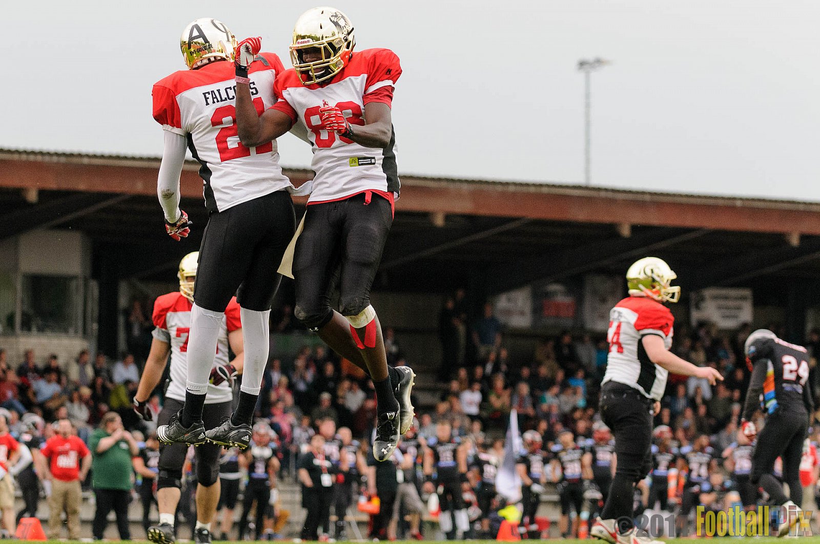 Düsseldorf Panther vs. Köln Falcons - 26.04.2014 GFL Nord: Düsseldorf Panther vs. Köln Falcons (25:27)