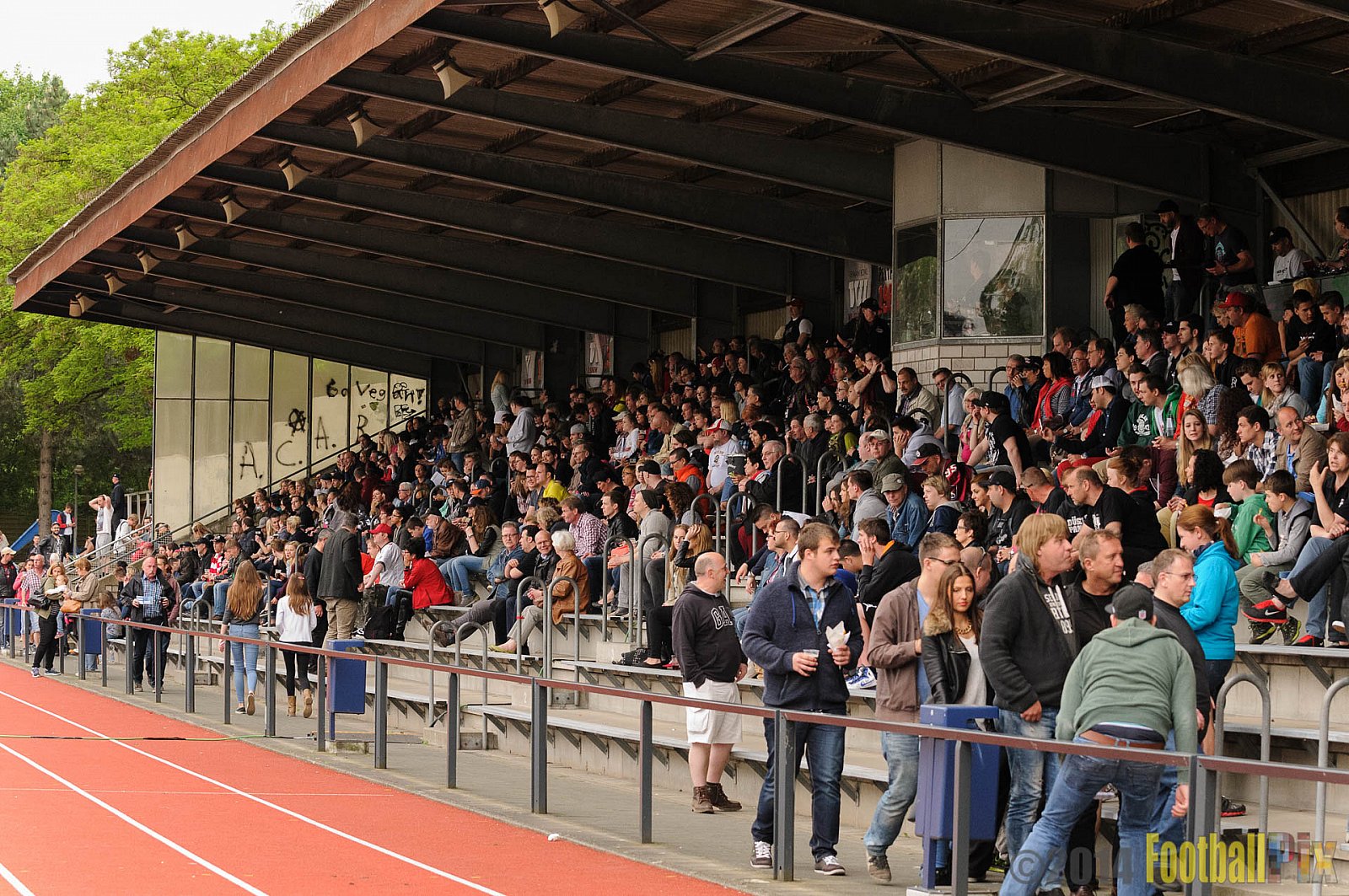 Düsseldorf Panther vs. Köln Falcons - 26.04.2014 GFL Nord: Düsseldorf Panther vs. Köln Falcons (25:27)