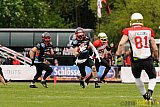 D&uuml;sseldorf Panther vs. K&ouml;ln Falcons - 26.04.2014 GFL Nord: D&uuml;sseldorf Panther vs. K&ouml;ln Falcons (25:27)