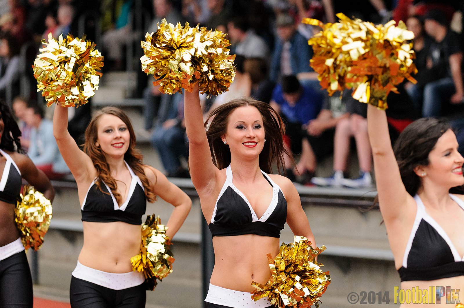 Düsseldorf Panther vs. Köln Falcons - 26.04.2014 GFL Nord: Düsseldorf Panther vs. Köln Falcons (25:27)
