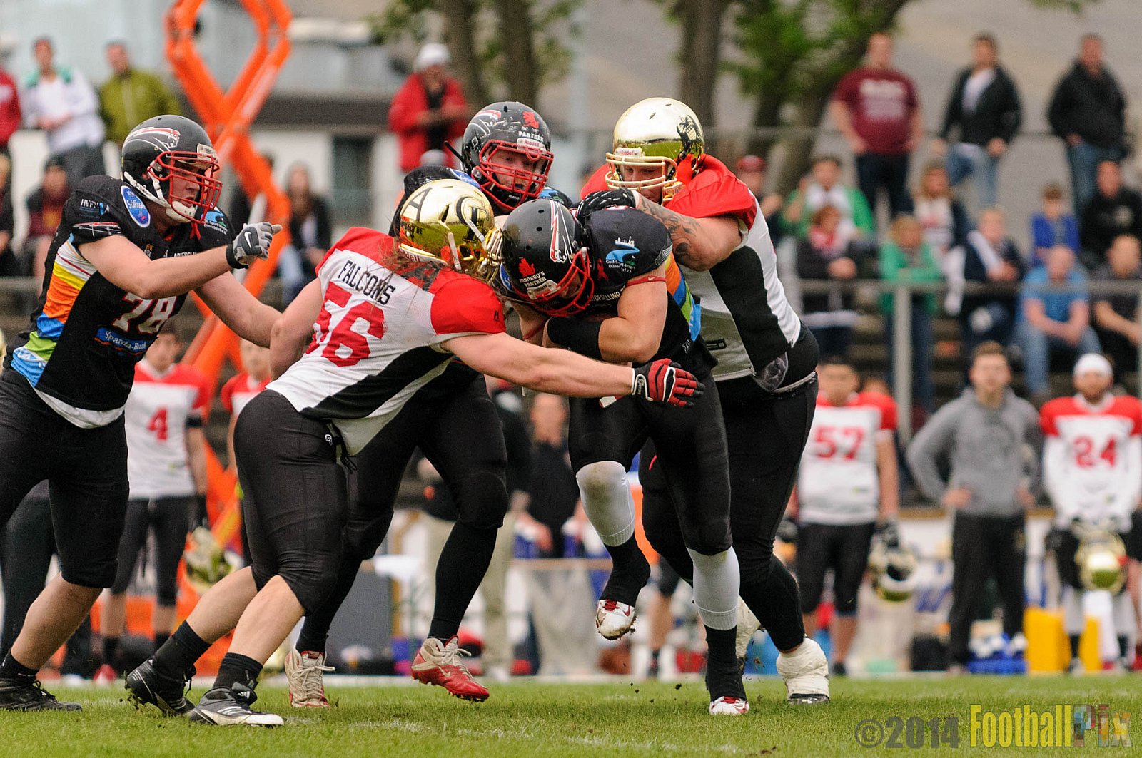 Düsseldorf Panther vs. Köln Falcons - 26.04.2014 GFL Nord: Düsseldorf Panther vs. Köln Falcons (25:27)