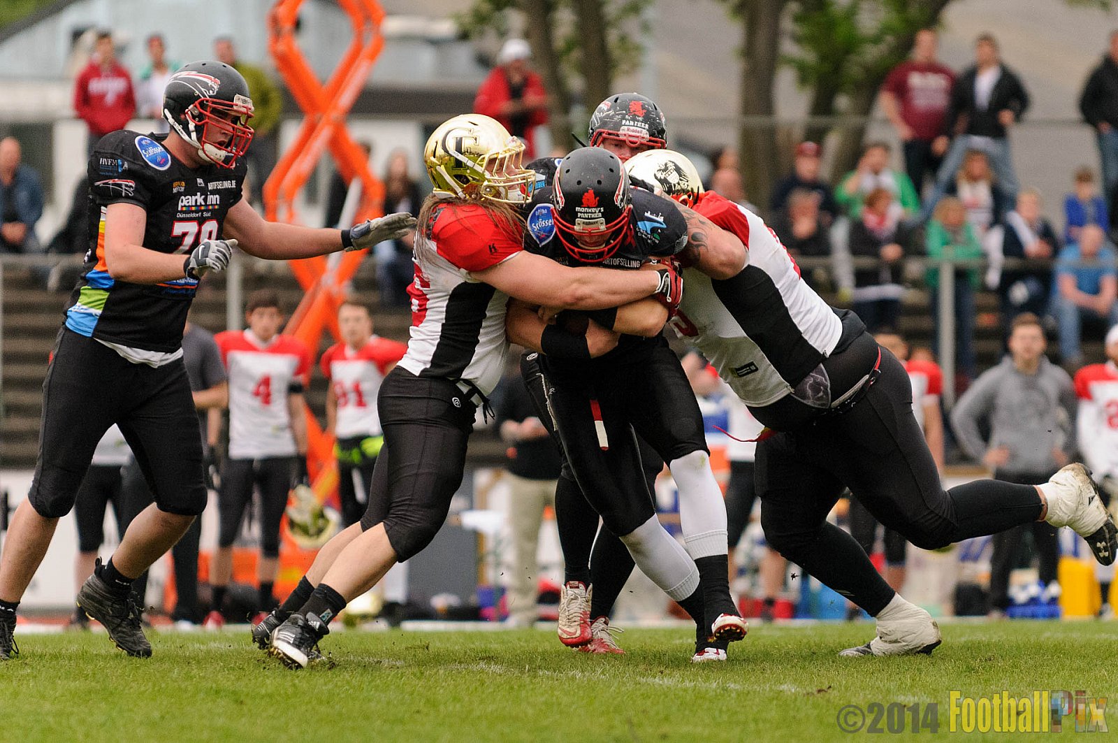 Düsseldorf Panther vs. Köln Falcons - 26.04.2014 GFL Nord: Düsseldorf Panther vs. Köln Falcons (25:27)
