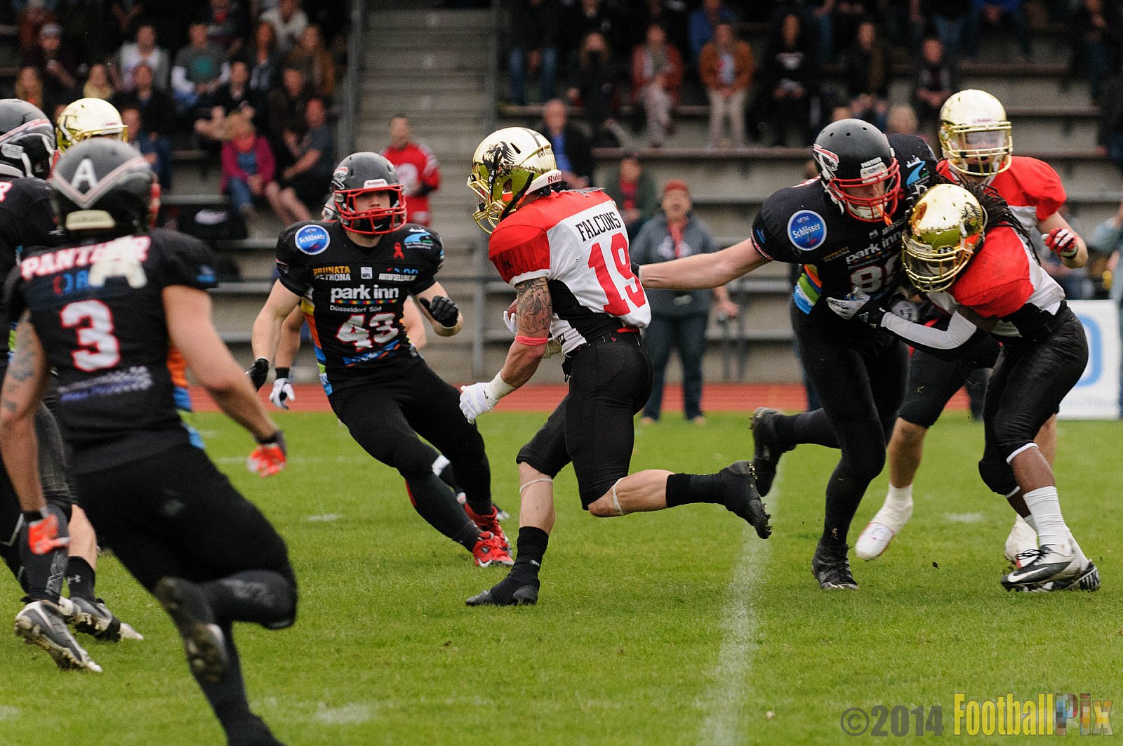 Düsseldorf Panther vs. Köln Falcons - 26.04.2014 GFL Nord: Düsseldorf Panther vs. Köln Falcons (25:27)