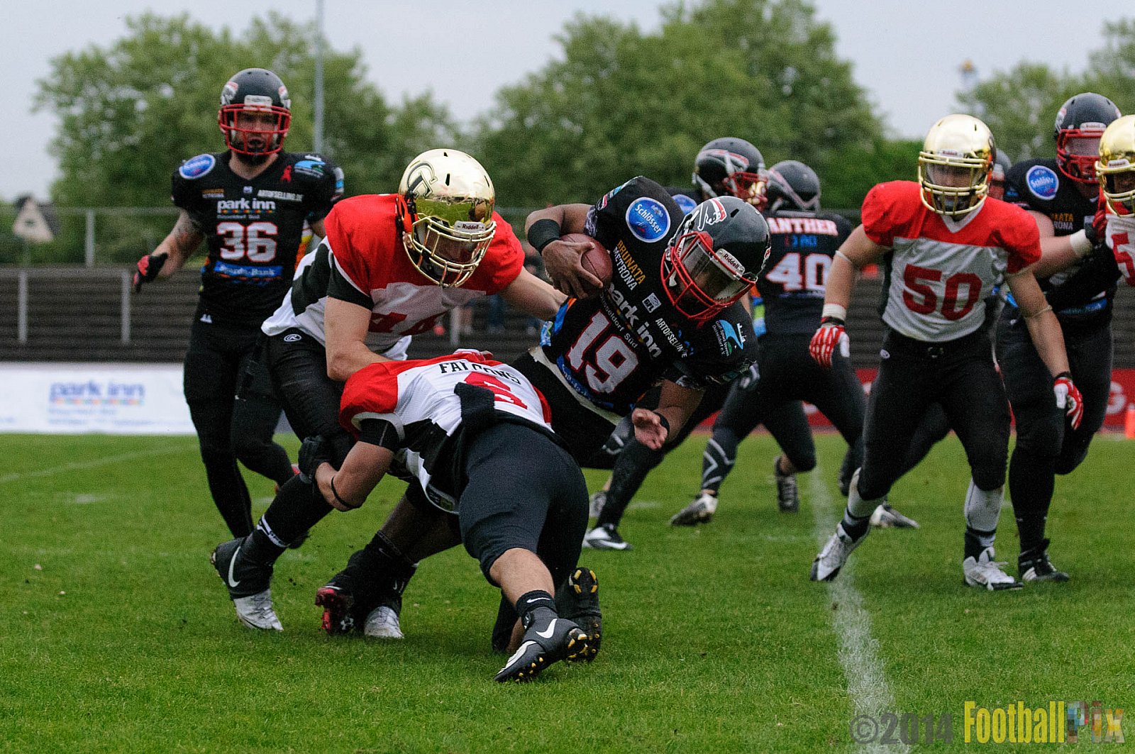 Düsseldorf Panther vs. Köln Falcons - 26.04.2014 GFL Nord: Düsseldorf Panther vs. Köln Falcons (25:27)