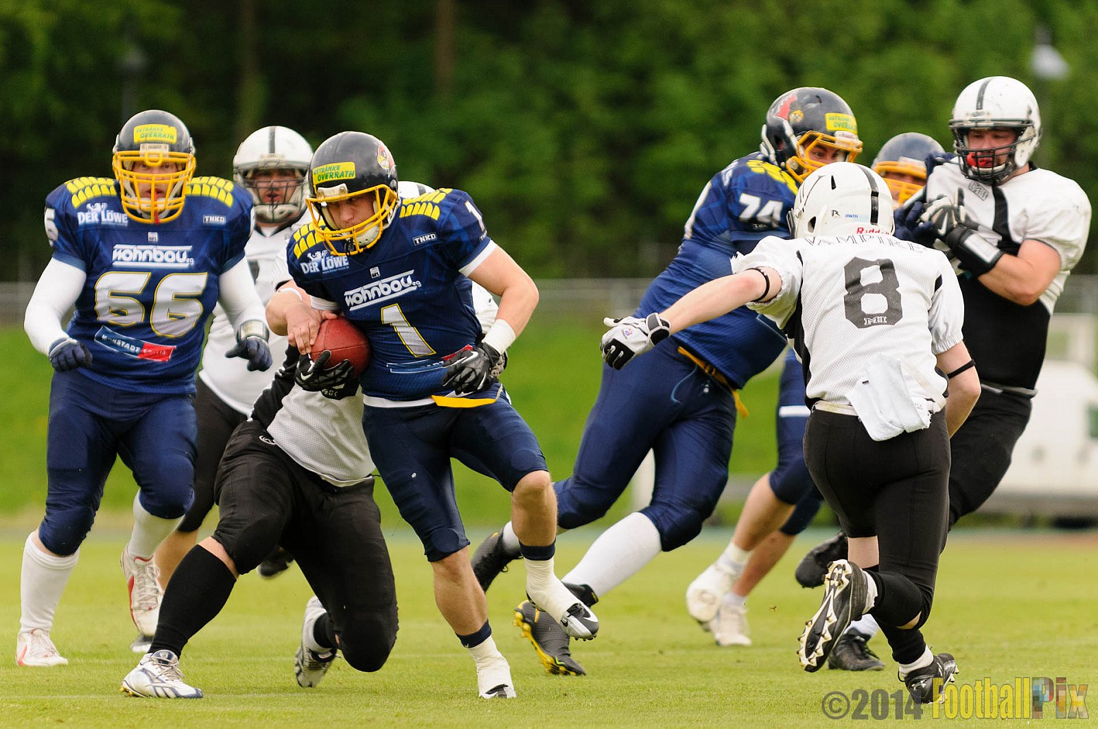 Essen Assindia Cardinals vs. Aachen Vampires - 03.05.2014 Essen Assindia Cardinals vs. Aachen Vampires (81:0)