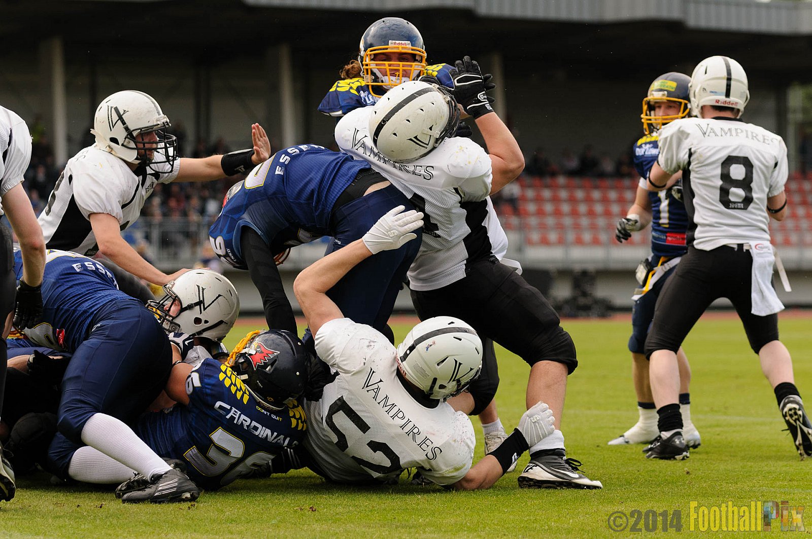 Essen Assindia Cardinals vs. Aachen Vampires - 03.05.2014 Essen Assindia Cardinals vs. Aachen Vampires (81:0)