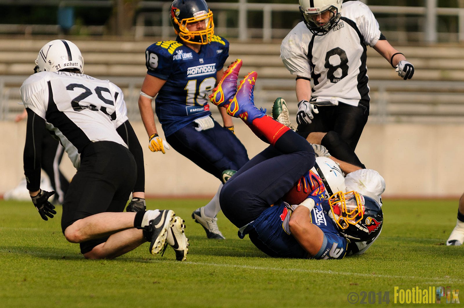 Essen Assindia Cardinals vs. Aachen Vampires - 03.05.2014 Essen Assindia Cardinals vs. Aachen Vampires (81:0)