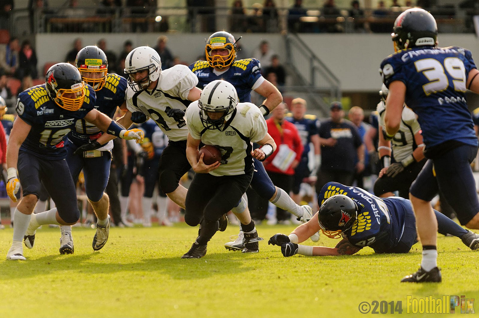 Essen Assindia Cardinals vs. Aachen Vampires - 03.05.2014 Essen Assindia Cardinals vs. Aachen Vampires (81:0)
