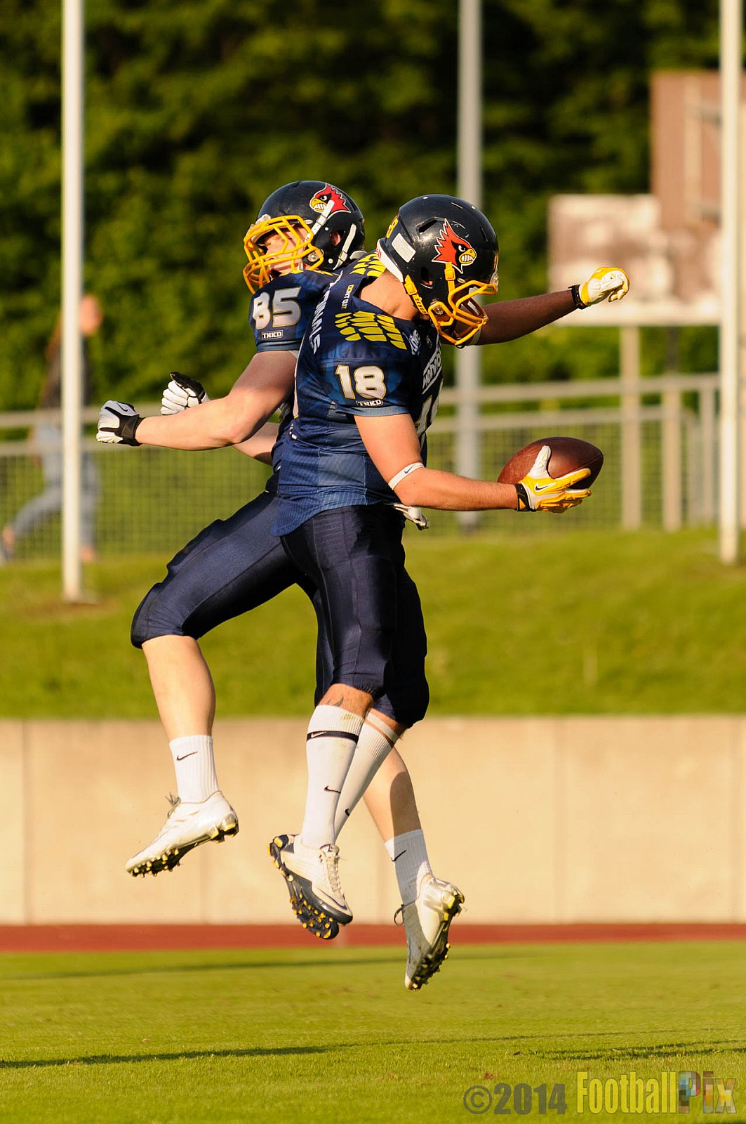 Essen Assindia Cardinals vs. Aachen Vampires - 03.05.2014 Essen Assindia Cardinals vs. Aachen Vampires (81:0)