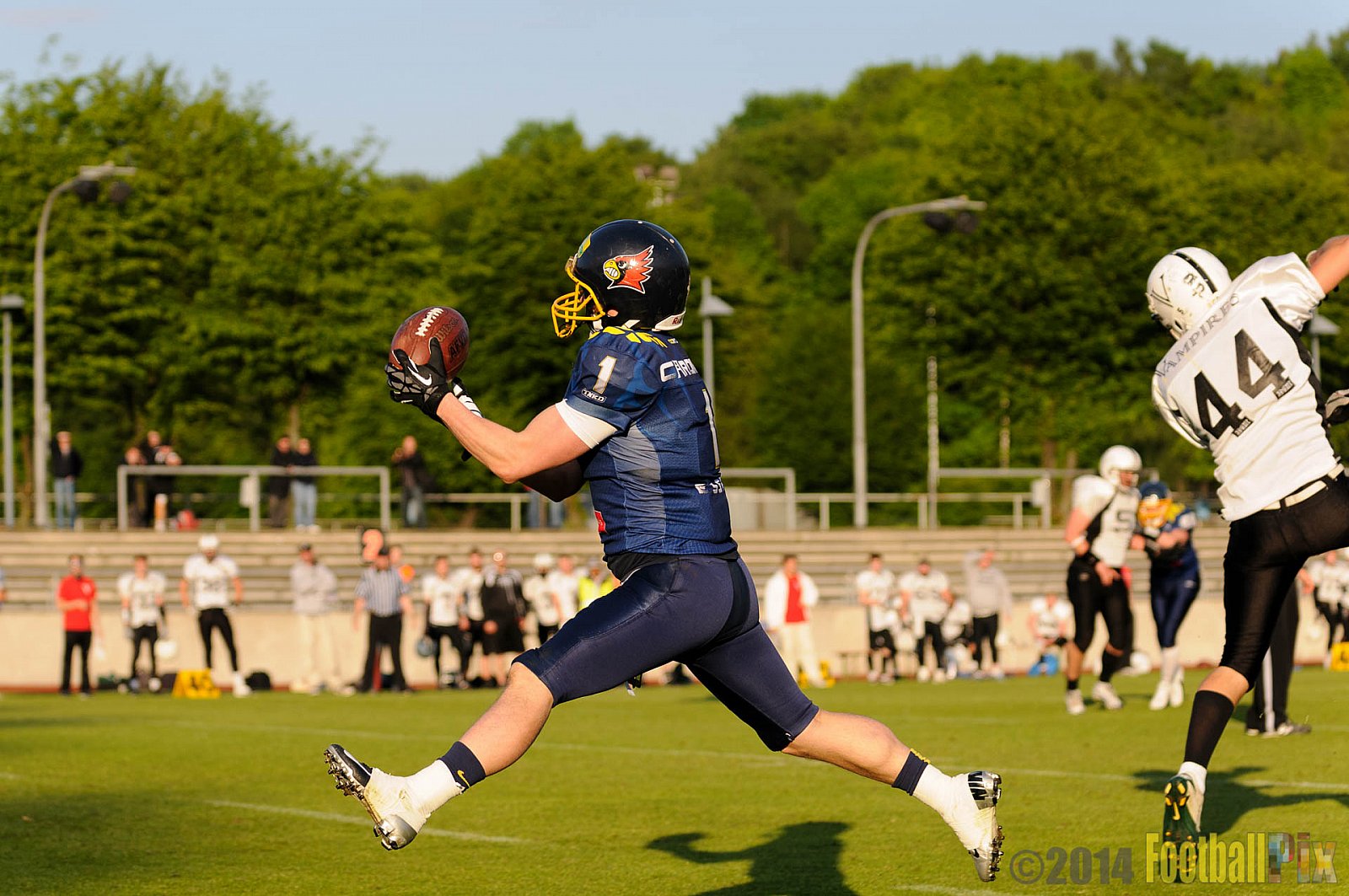 Essen Assindia Cardinals vs. Aachen Vampires - 03.05.2014 Essen Assindia Cardinals vs. Aachen Vampires (81:0)