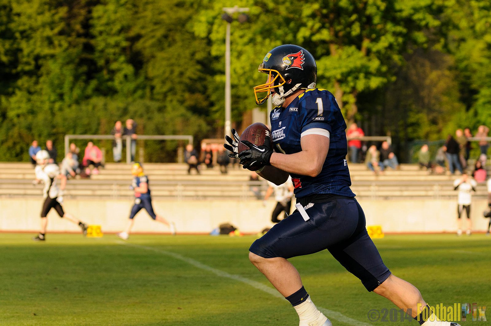 Essen Assindia Cardinals vs. Aachen Vampires - 03.05.2014 Essen Assindia Cardinals vs. Aachen Vampires (81:0)