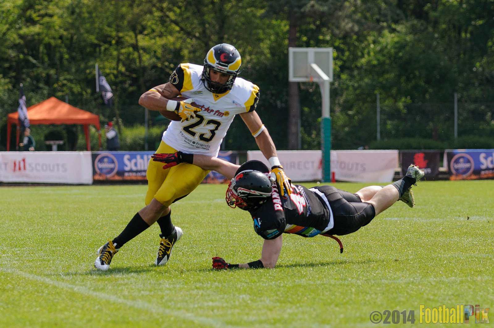 Düsseldorf Panther vs. Berlin Adler - 04.05.2014 GFL Nord: Düsseldorf Panther vs. Berlin Adler (22:42)
