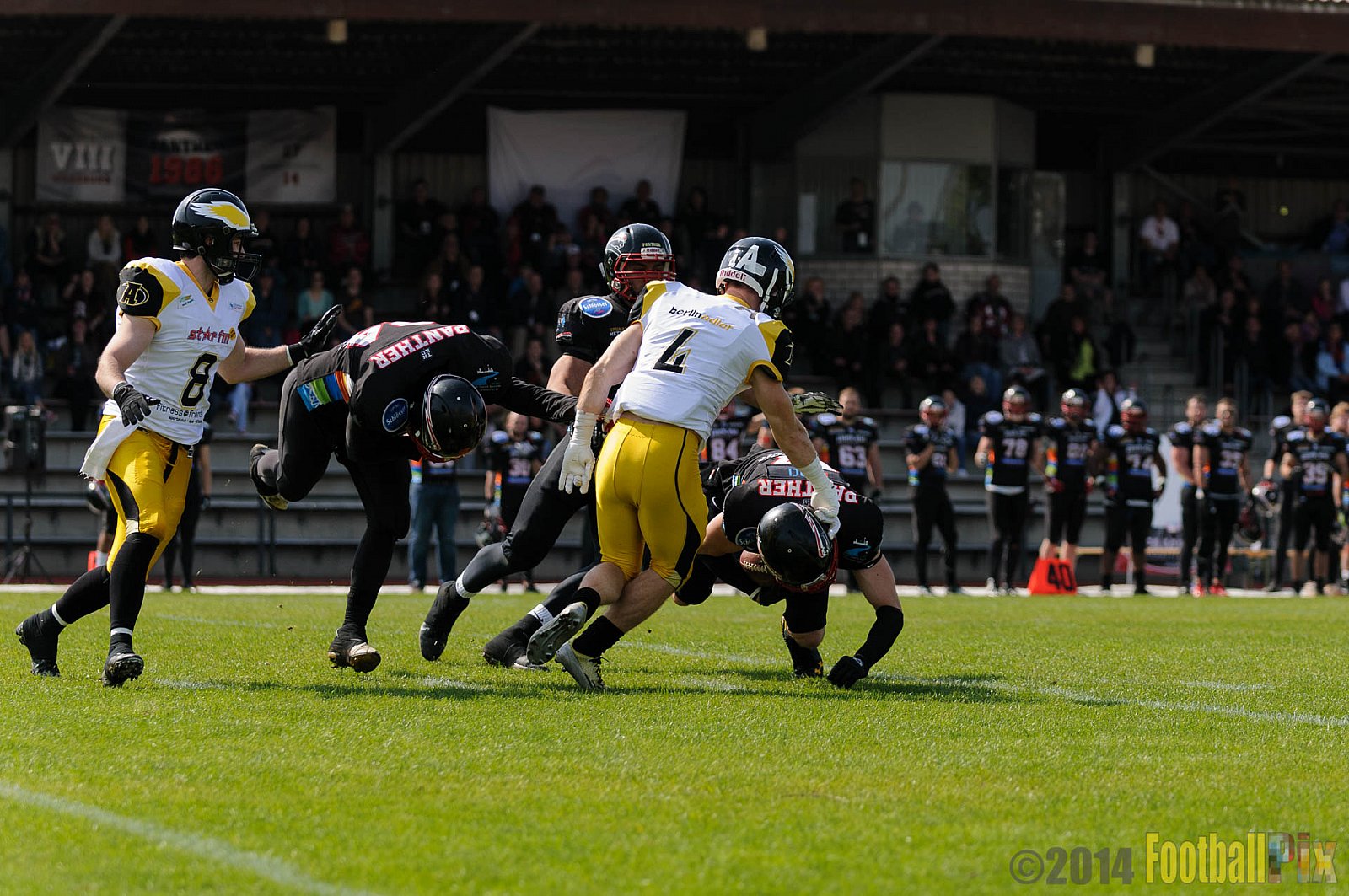 Düsseldorf Panther vs. Berlin Adler - 04.05.2014 GFL Nord: Düsseldorf Panther vs. Berlin Adler (22:42)