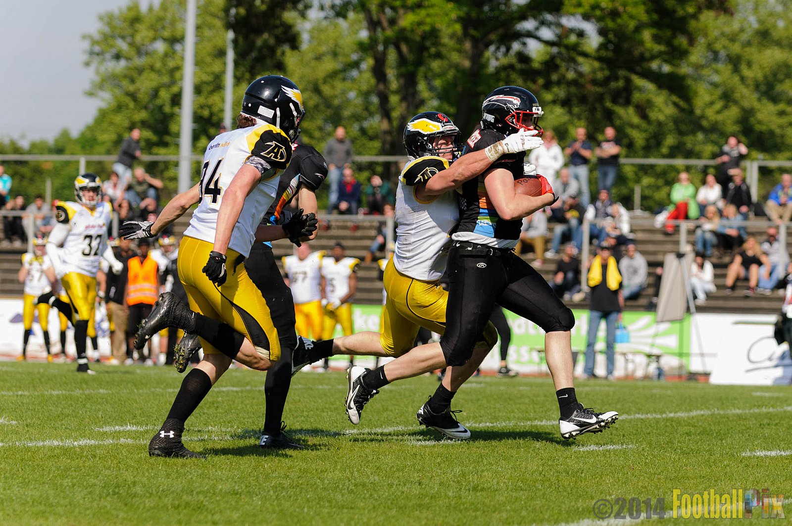 Düsseldorf Panther vs. Berlin Adler - 04.05.2014 GFL Nord: Düsseldorf Panther vs. Berlin Adler (22:42)
