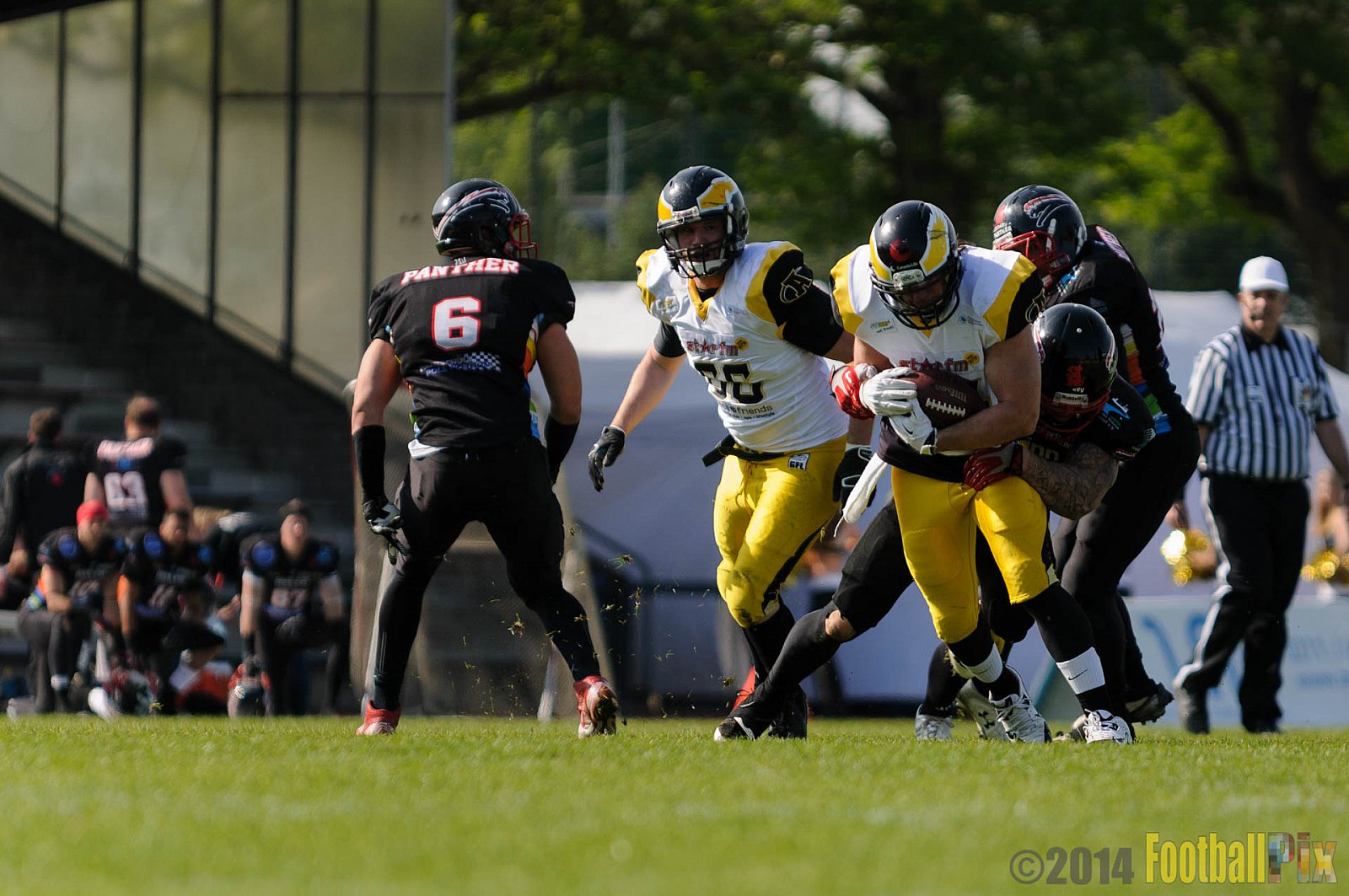 Düsseldorf Panther vs. Berlin Adler - 04.05.2014 GFL Nord: Düsseldorf Panther vs. Berlin Adler (22:42)