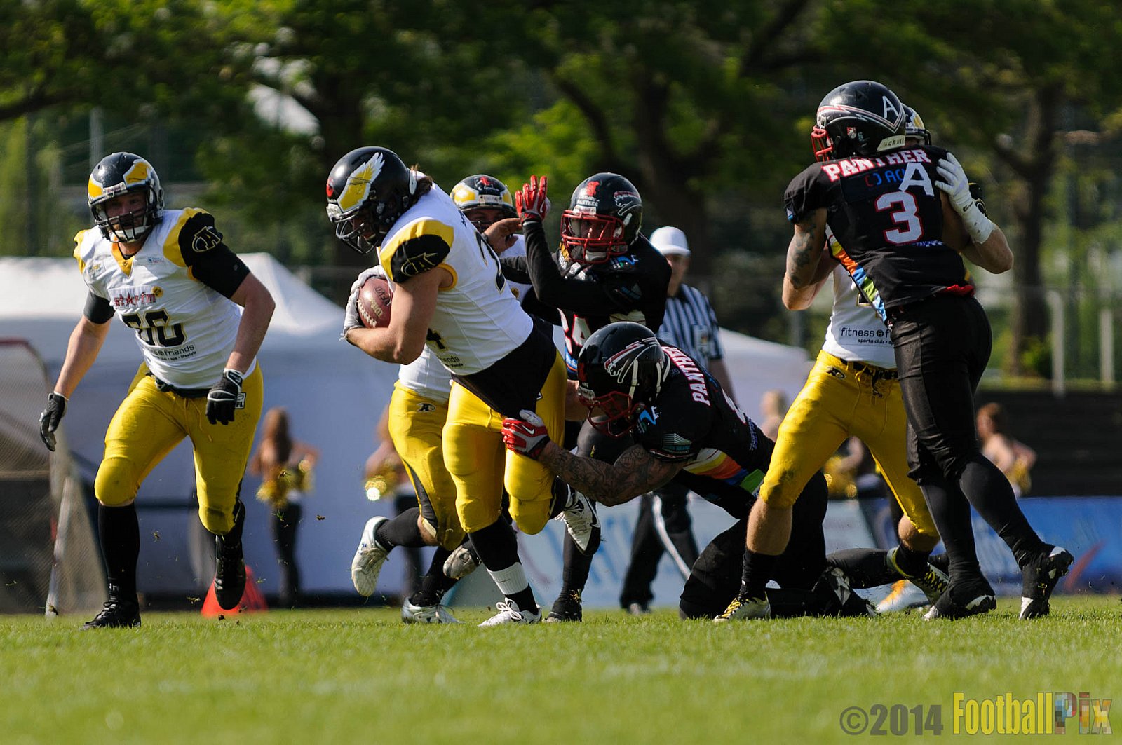 Düsseldorf Panther vs. Berlin Adler - 04.05.2014 GFL Nord: Düsseldorf Panther vs. Berlin Adler (22:42)
