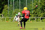  Neuss Frogs vs. Aachen/Düren Demons - 11.05.2014 Neuss Frogs vs. Aachen/Düren Demons (6:14) 