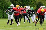  Neuss Frogs vs. Aachen/Düren Demons - 11.05.2014 Neuss Frogs vs. Aachen/Düren Demons (6:14) 