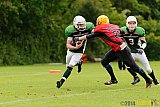  Neuss Frogs vs. Aachen/Düren Demons - 11.05.2014 Neuss Frogs vs. Aachen/Düren Demons (6:14) 