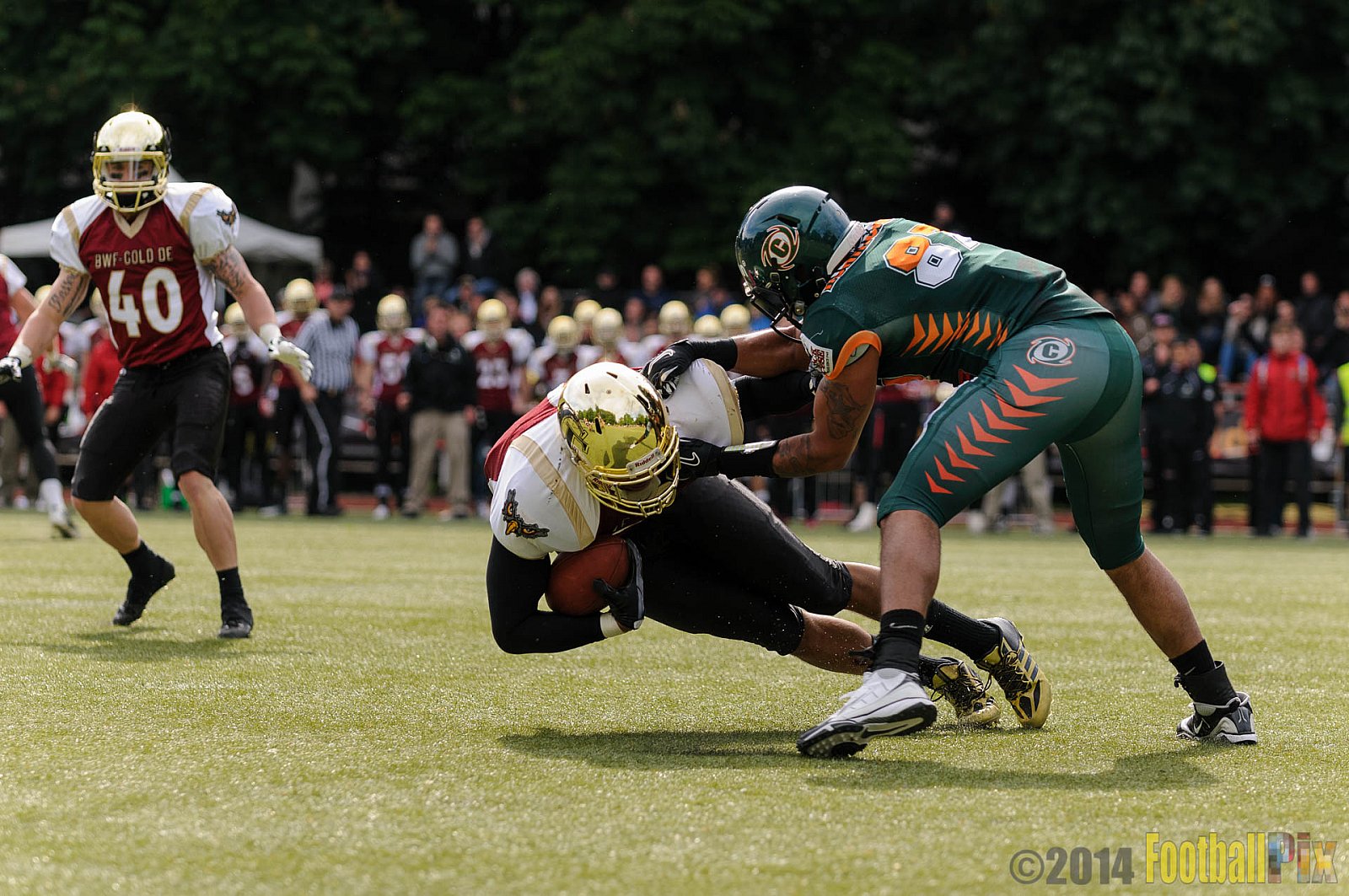 Cologne Falcons vs. Kiel Baltic Hurricanes - 11.05.2014 GFL Nord: Cologne Falcons vs. Kiel Baltic Hurricanes (28:11) 