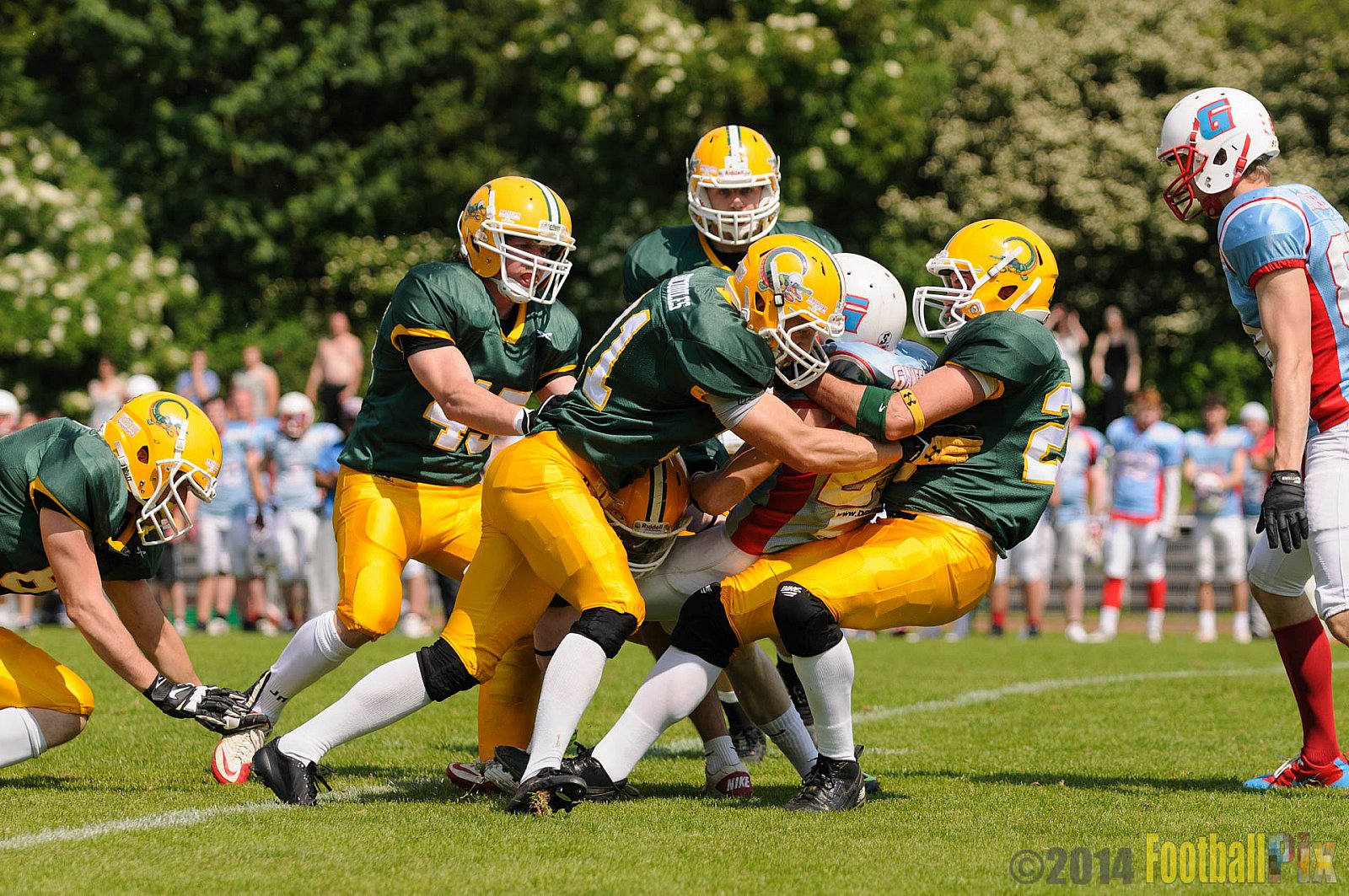 Cologne Crocodiles vs. Bonn Gamecocks - 18.05.2014 GFL2 Nord: Cologne Crocodiles vs. Bonn Gamecocks (21:14) 
