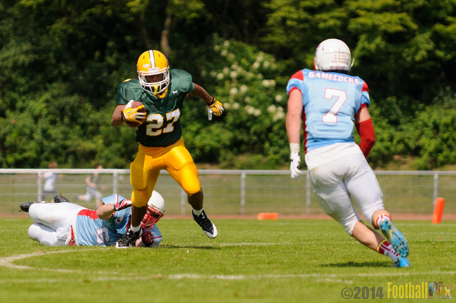 Cologne Crocodiles vs. Bonn Gamecocks - 18.05.2014 GFL2 Nord: Cologne Crocodiles vs. Bonn Gamecocks (21:14) 