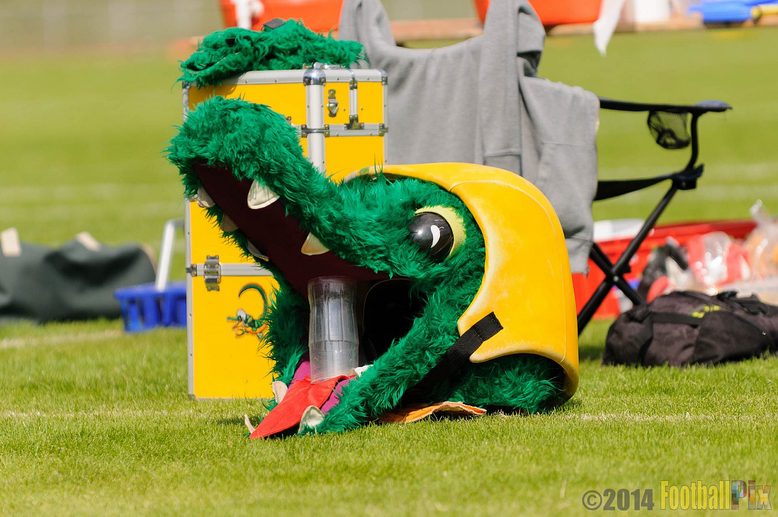 Cologne Crocodiles vs. Bonn Gamecocks - 18.05.2014 GFL2 Nord: Cologne Crocodiles vs. Bonn Gamecocks (21:14) 