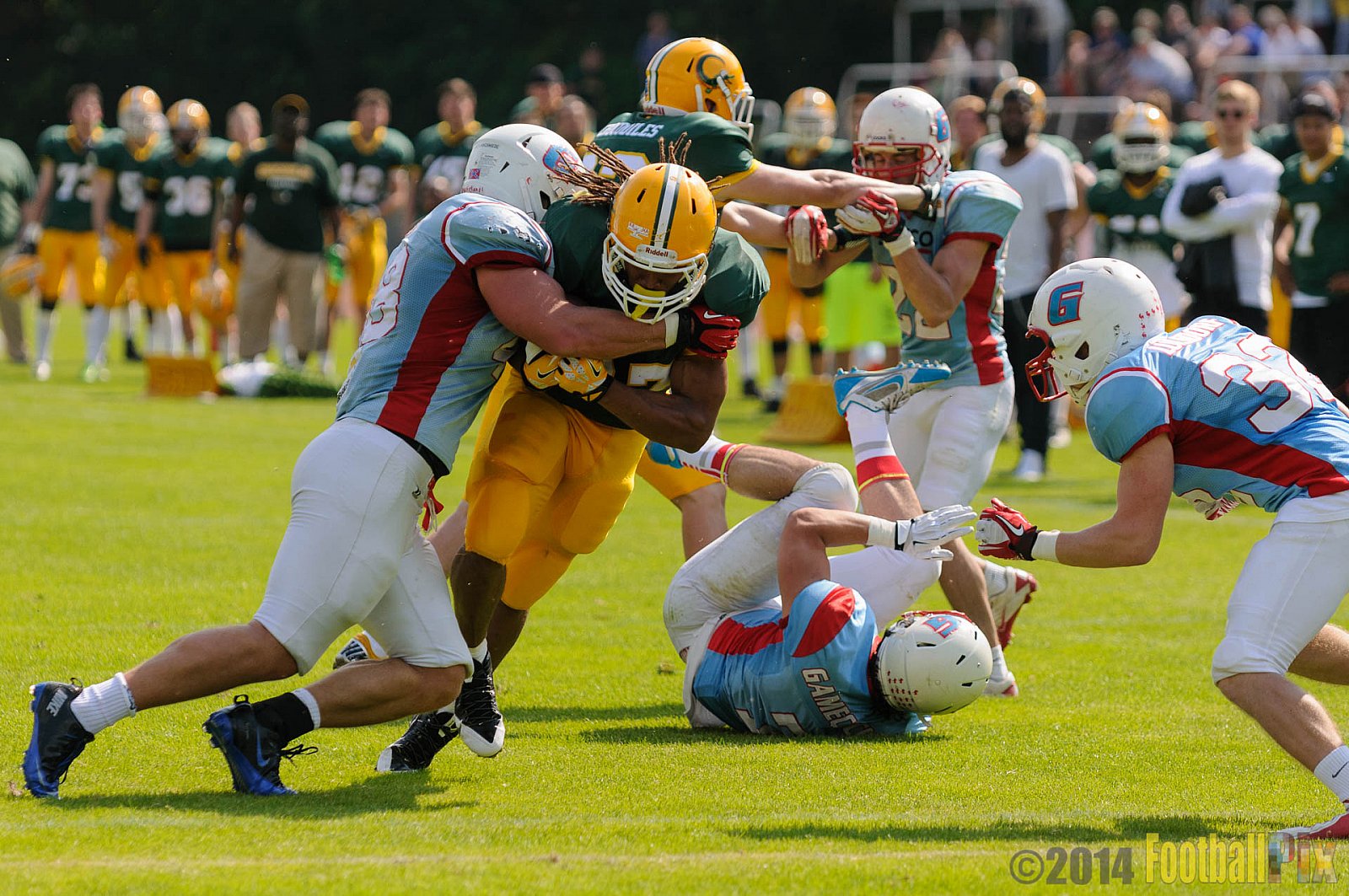 Cologne Crocodiles vs. Bonn Gamecocks - 18.05.2014 GFL2 Nord: Cologne Crocodiles vs. Bonn Gamecocks (21:14) 